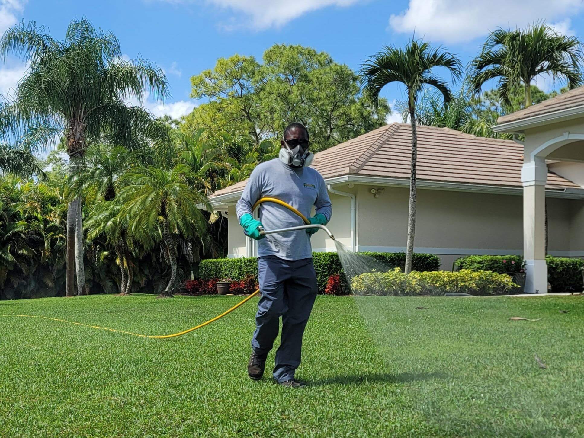 A person wearing a face mask and gloves is watering a well-maintained lawn in a residential yard with palm trees and a house in the background.