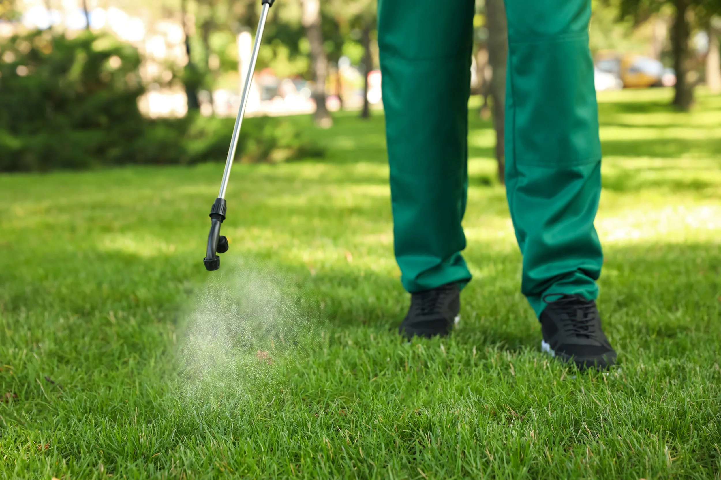 Person wearing teal pants, black shoes, and a green shirt using a handheld spray tool on green grass in a park with trees in the background.