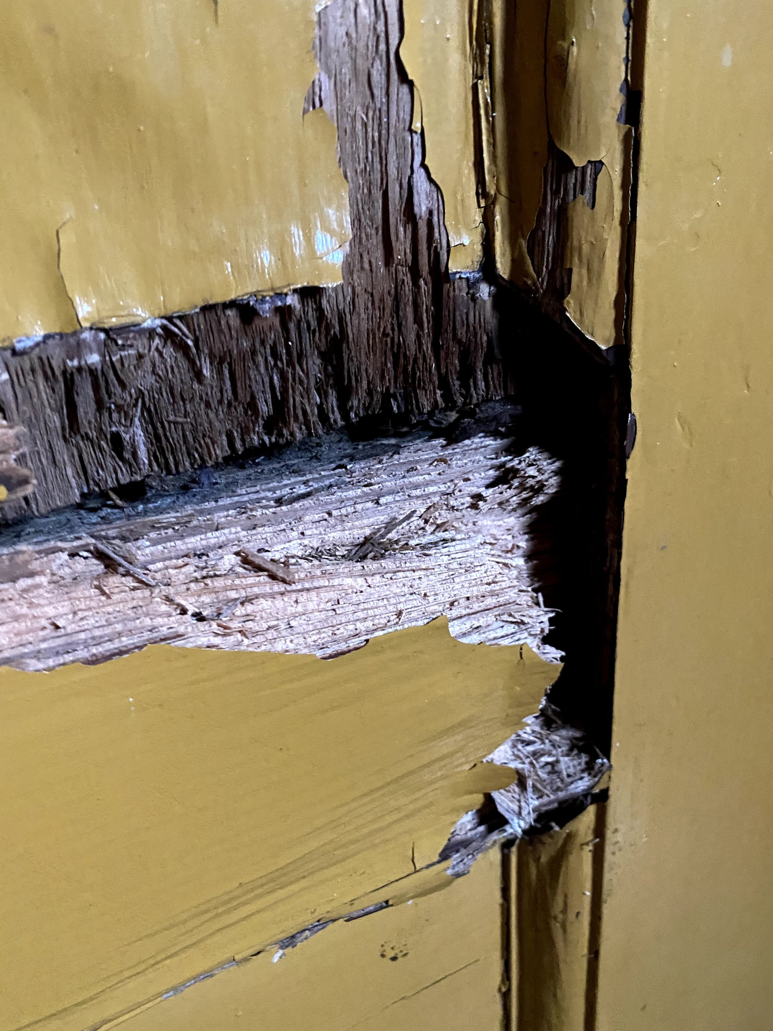 rot inside the front door
