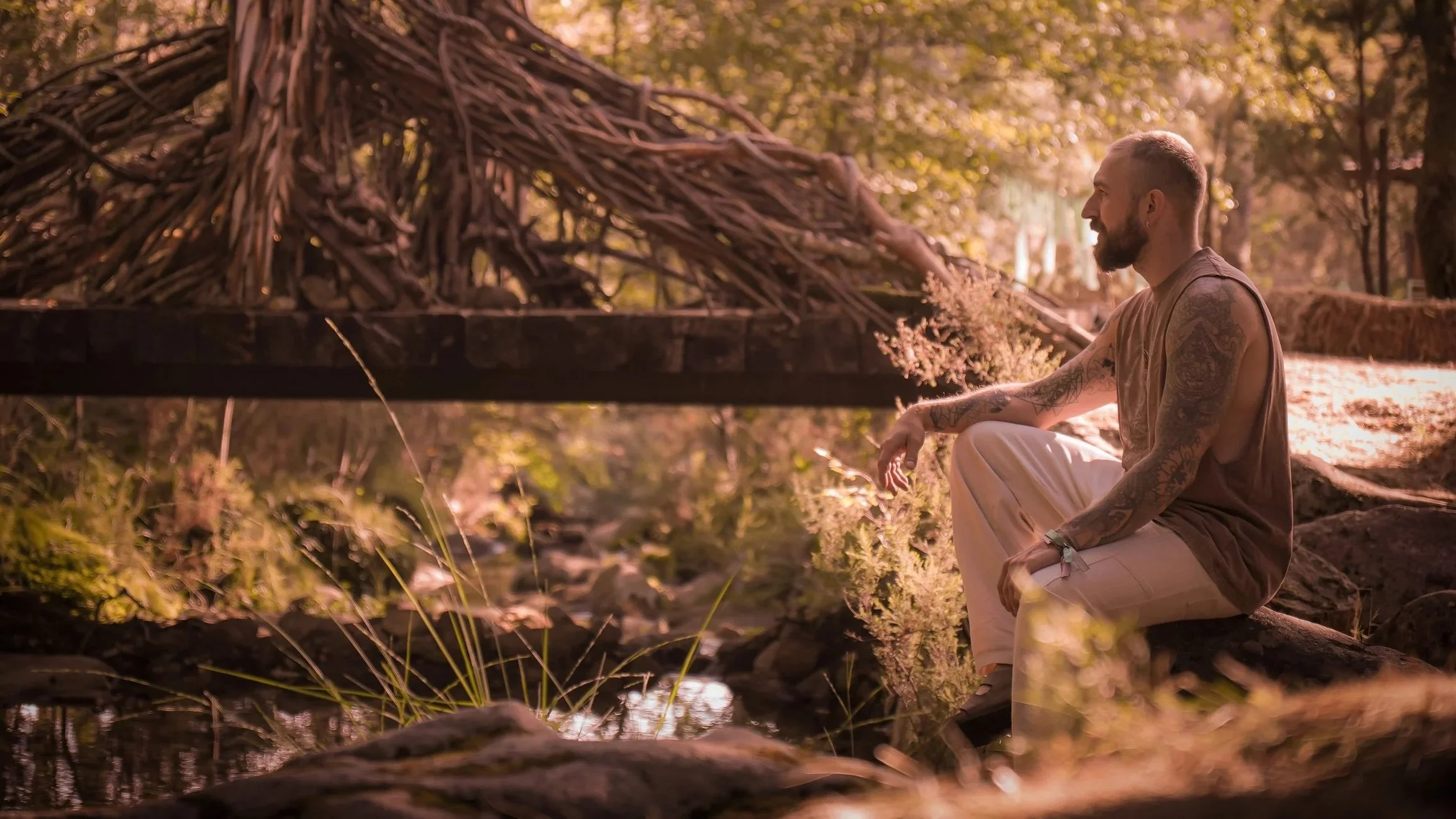 A man with tattoos on his arms, sitting on a rock by a creek in a wooded area during golden hour.