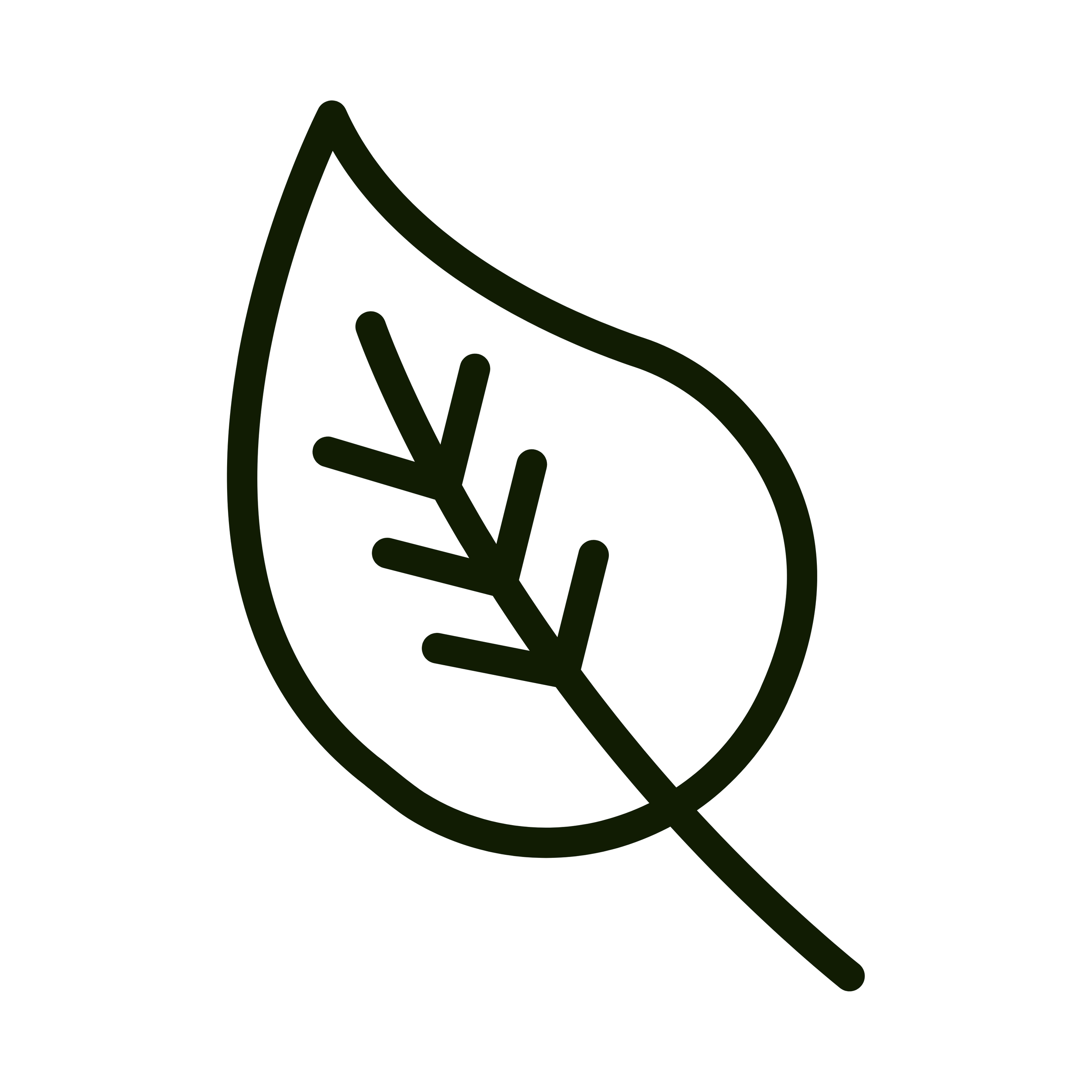 Un dessin simple d'une feuille stylisée avec une ligne centrale et des veines, en noir sur fond blanc.