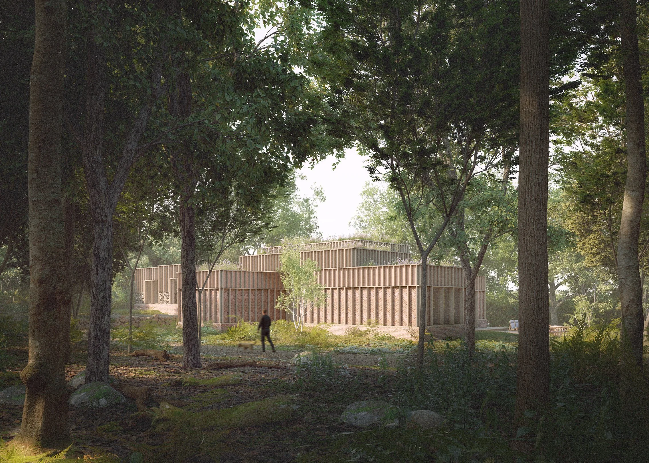 Brackenwood_Treehouse_Camera_09.jpg