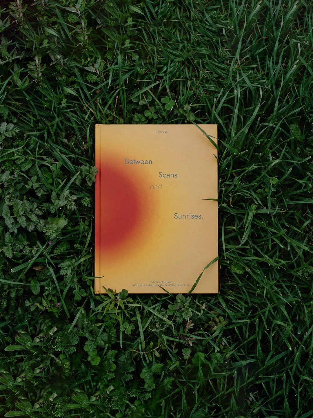 Vol 01 Book (Grass)_34.jpg