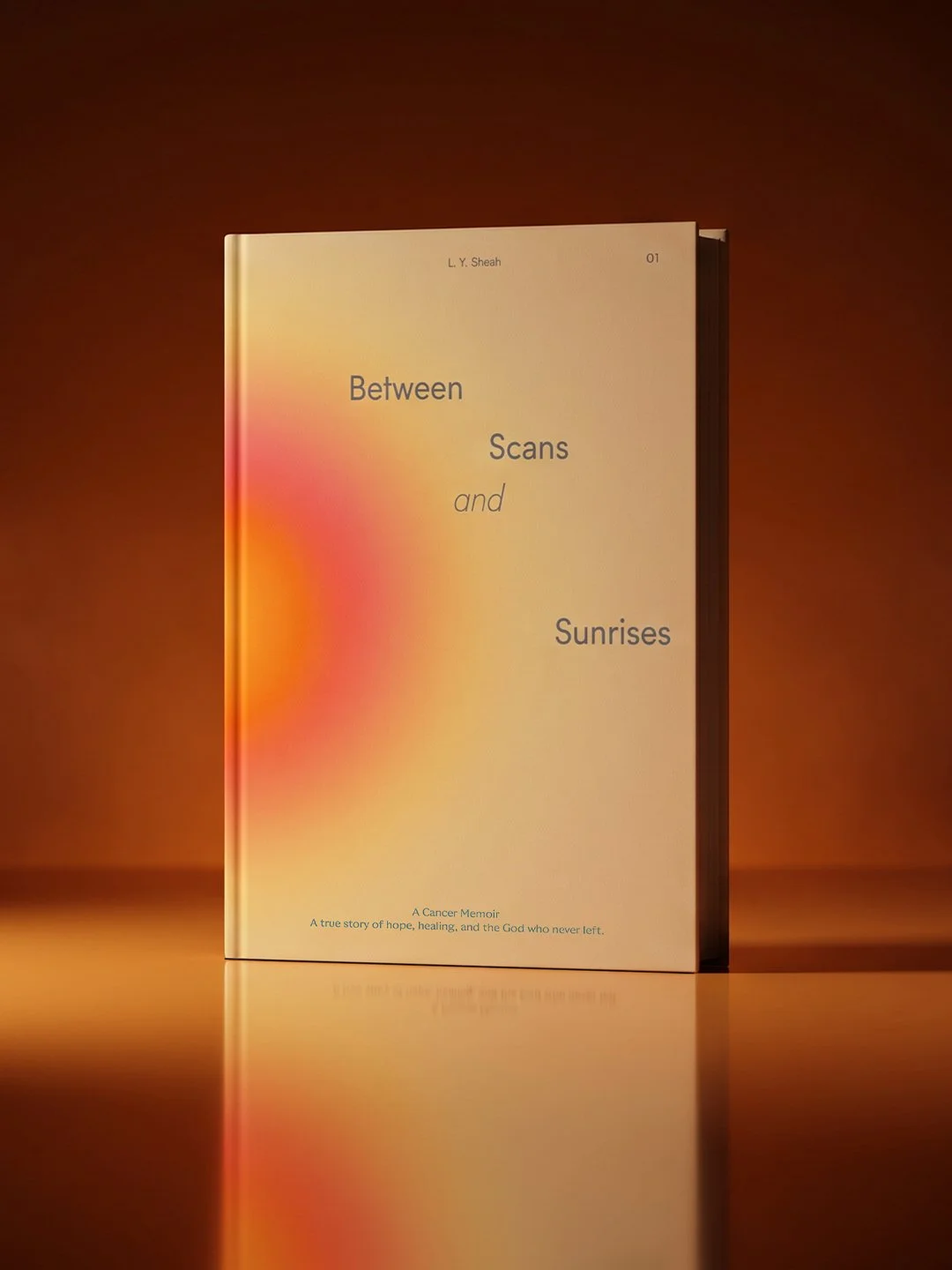 Between Scans & Sunrises