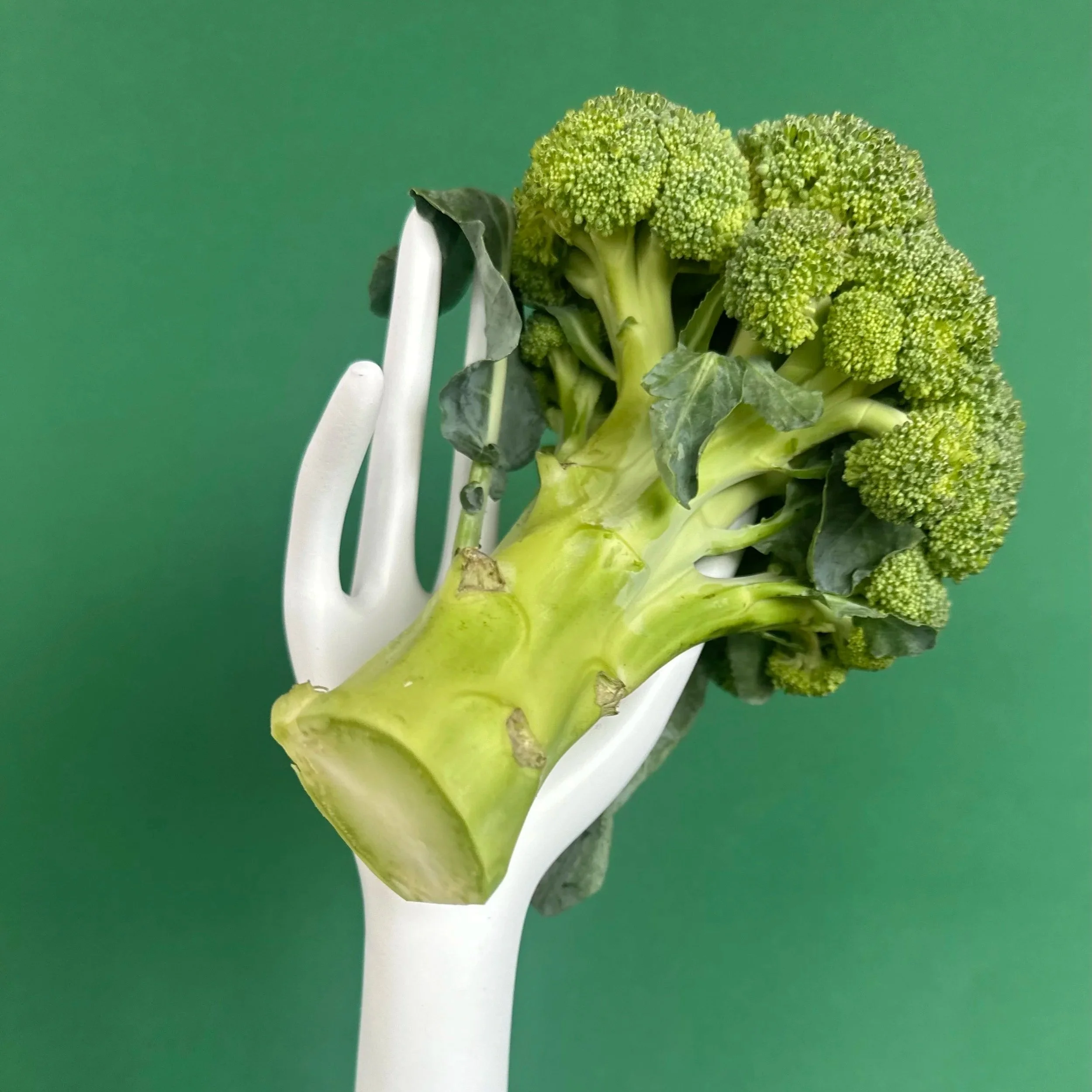 ERNÄHRUNG &amp; ORTHOMOLEKULARE MEDIZIN