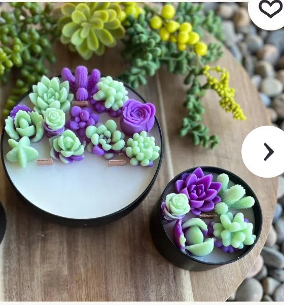 Grn_Purp_Cactus.jpg