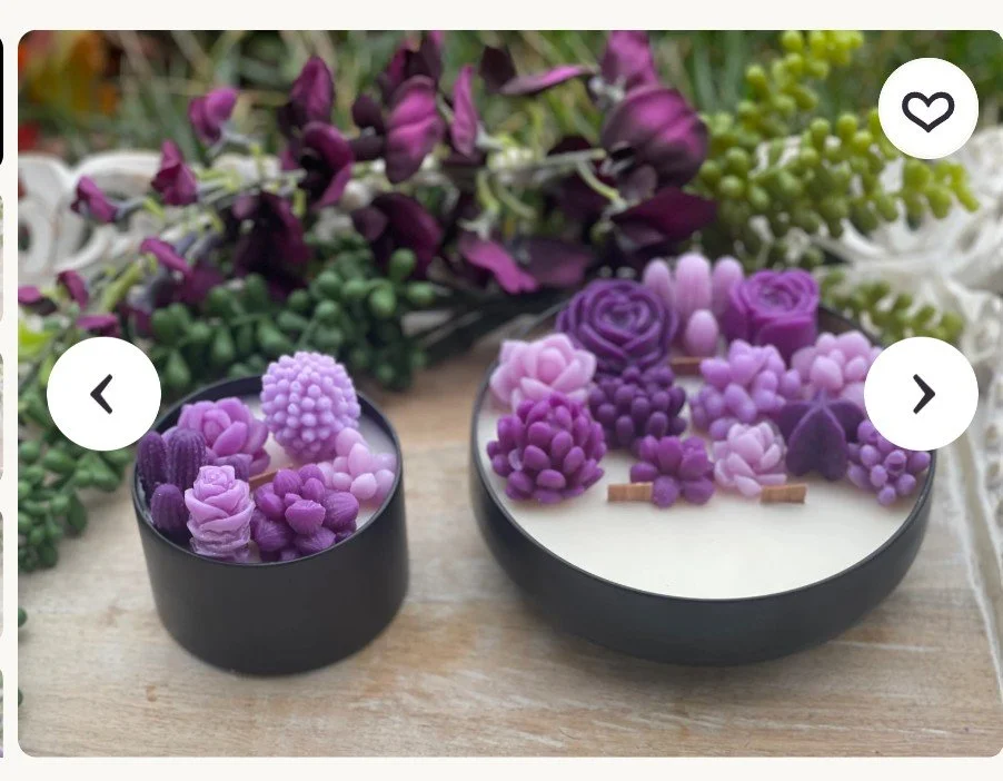 Cactus in a Bowl.jpg