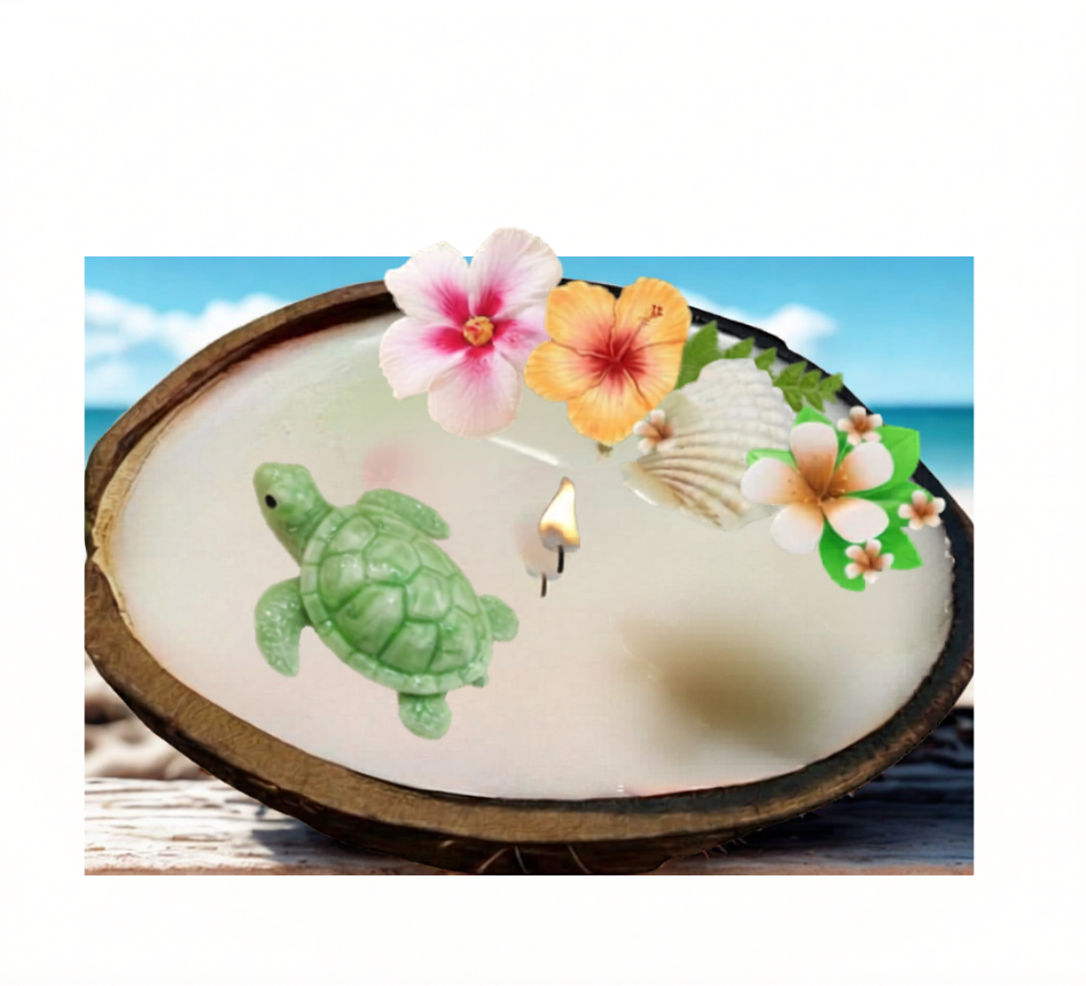 Coconut with turtle.png