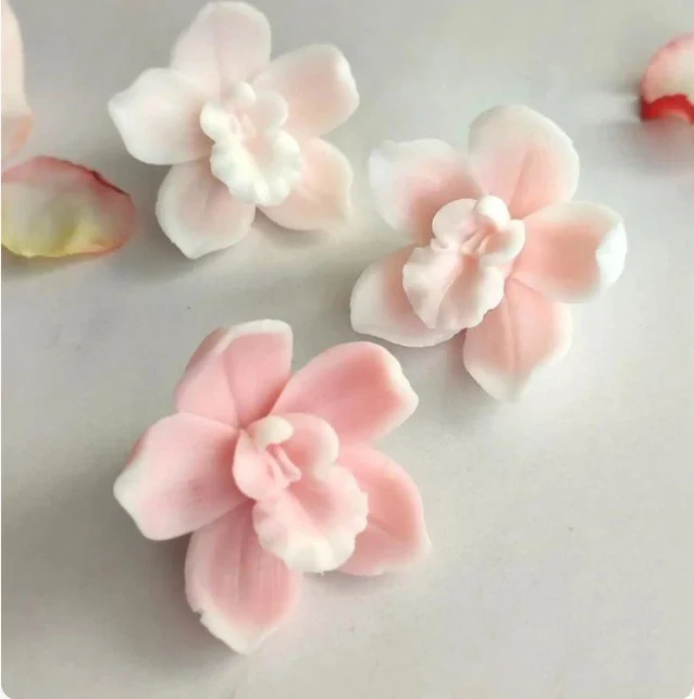 Orchid Flowers.jpg