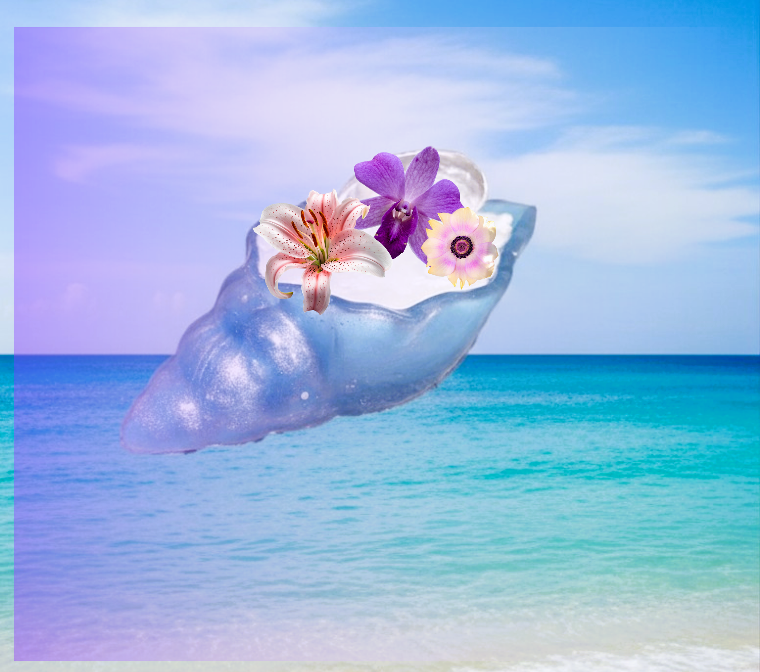 Purple Seashell design.png