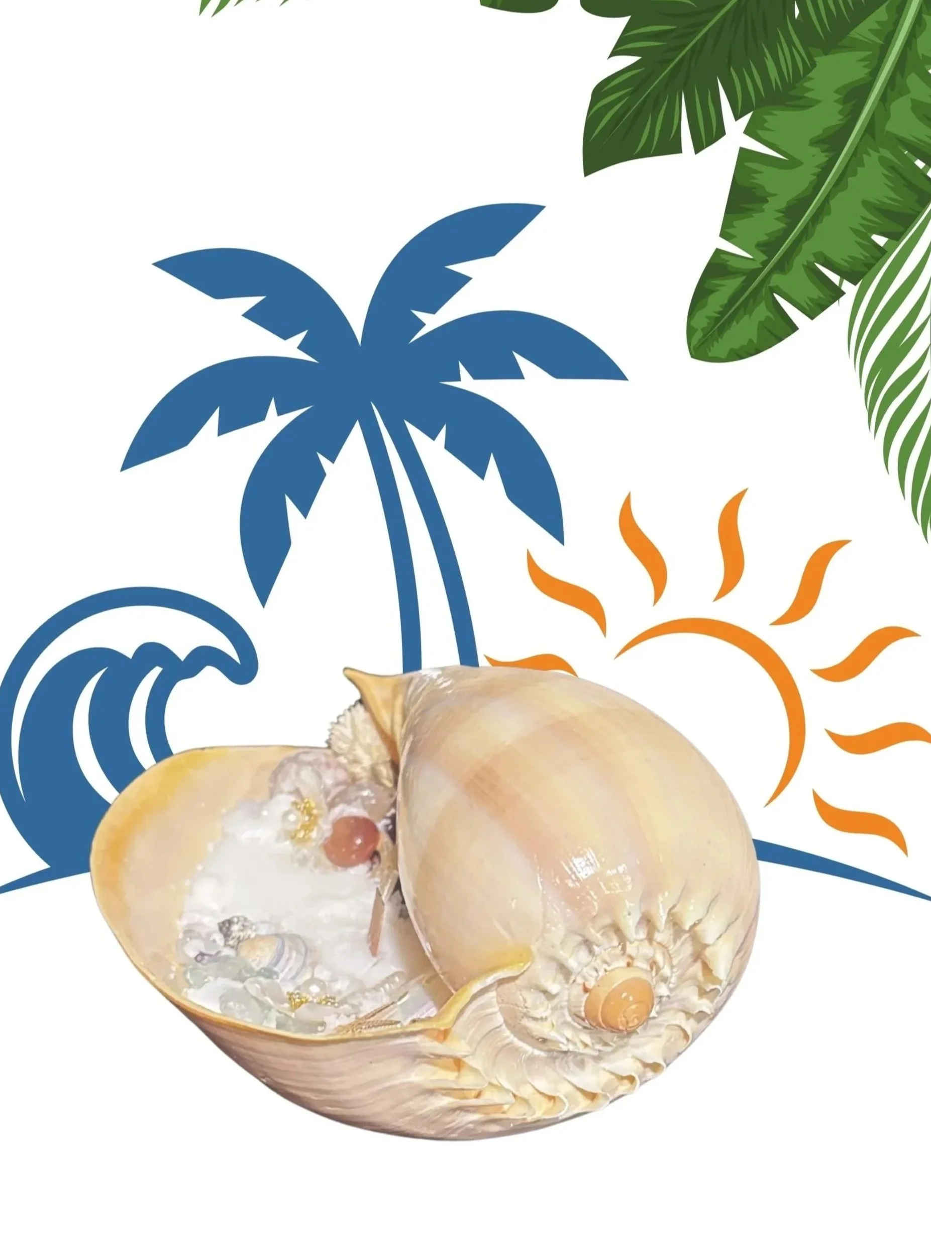 Baler%2BShell%2Bbackside.jpg