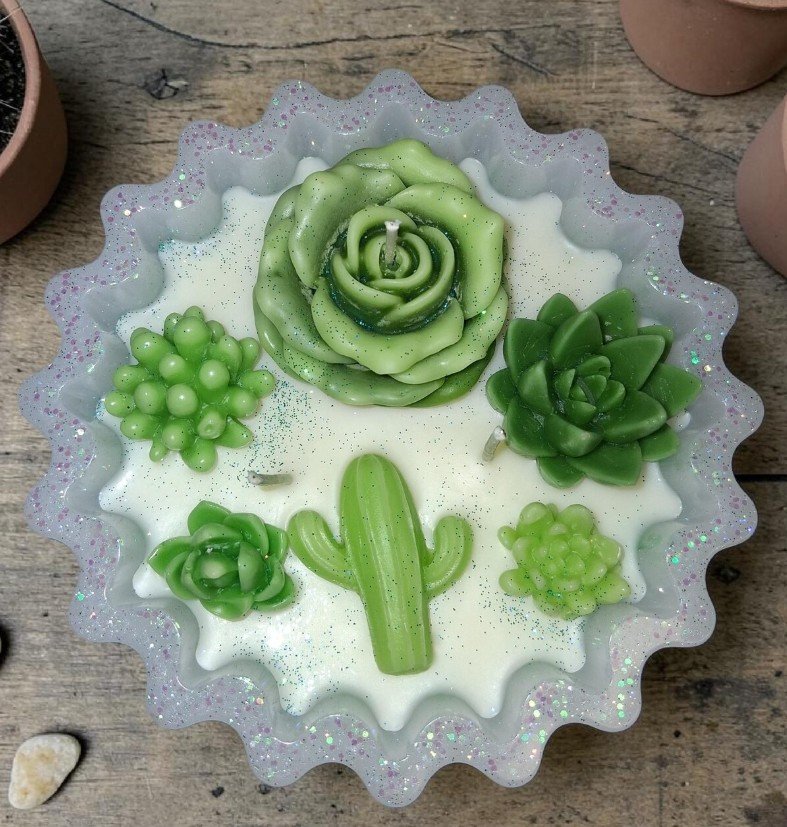Cactus in Bowl.jpg