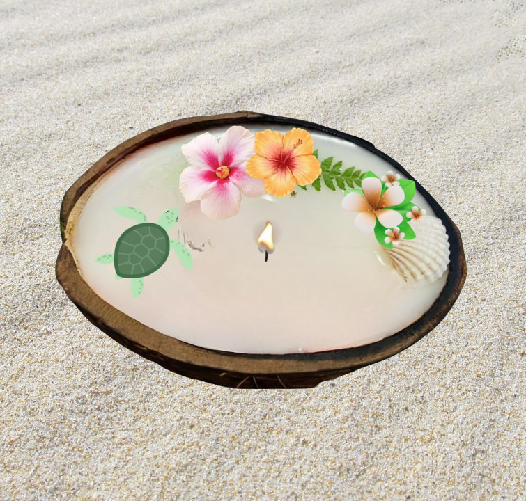 Small Coconut_1 Turtle.png