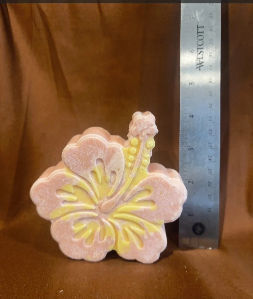 Lrg Hybiscus.jpg