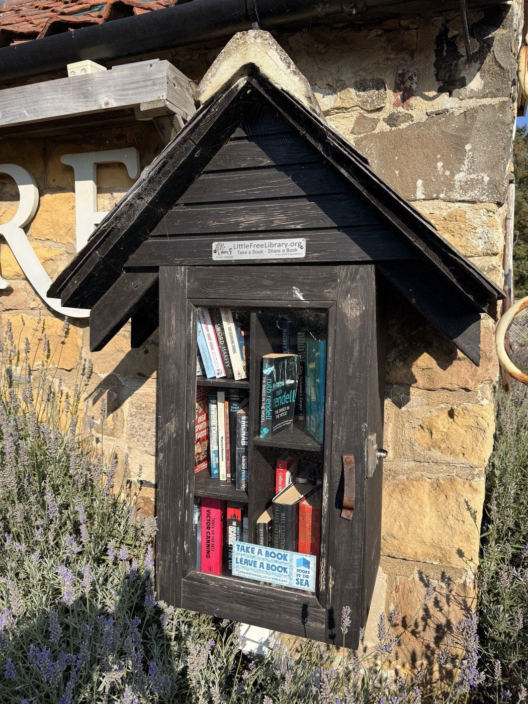Little Free Library.jpg