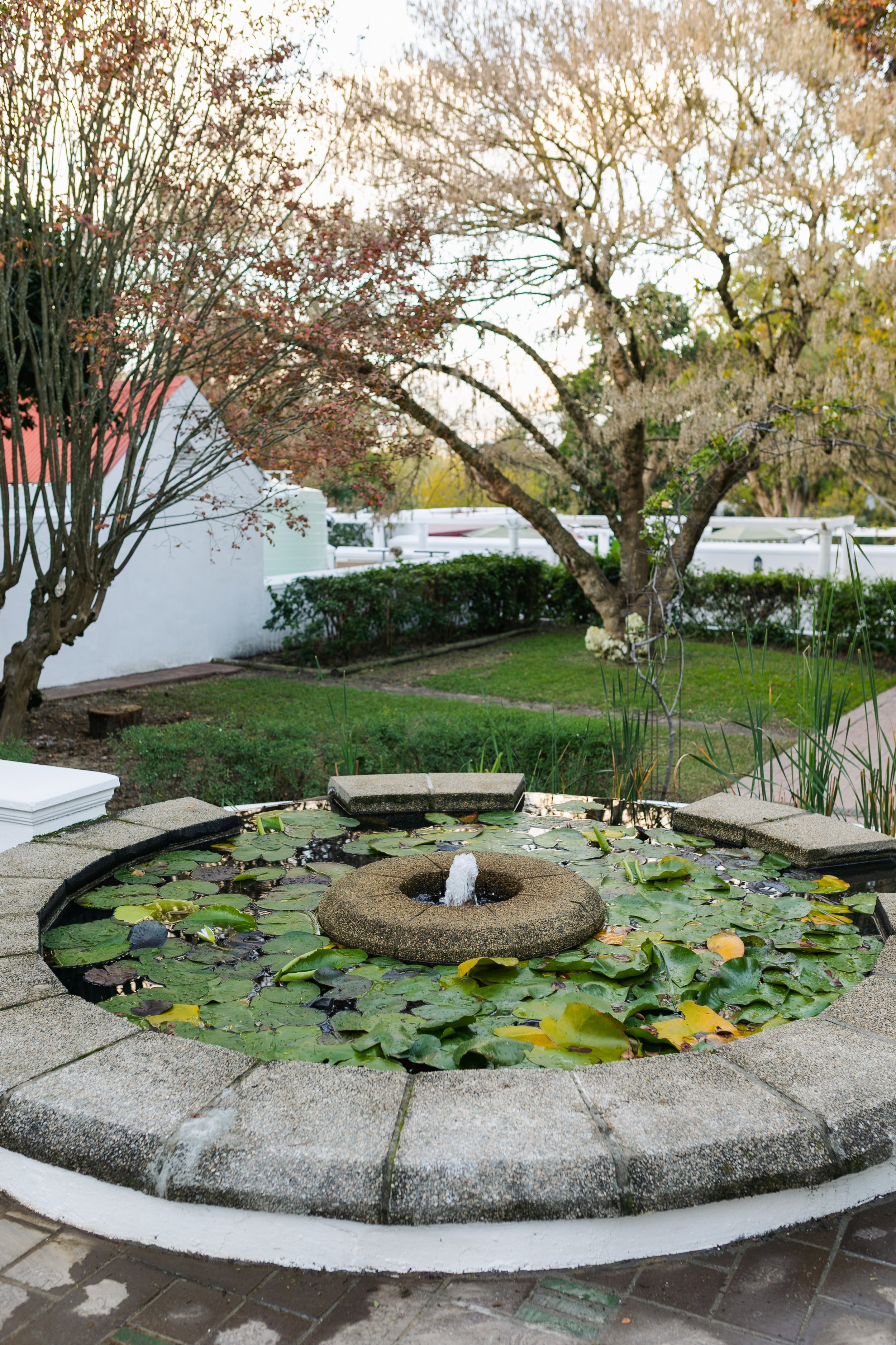 The beautifully restored fountain sits at the heart of Zomerlust's historic gardens, reflecting the grace, heritage and enduring legacy of this Paarl landmark since 1792.