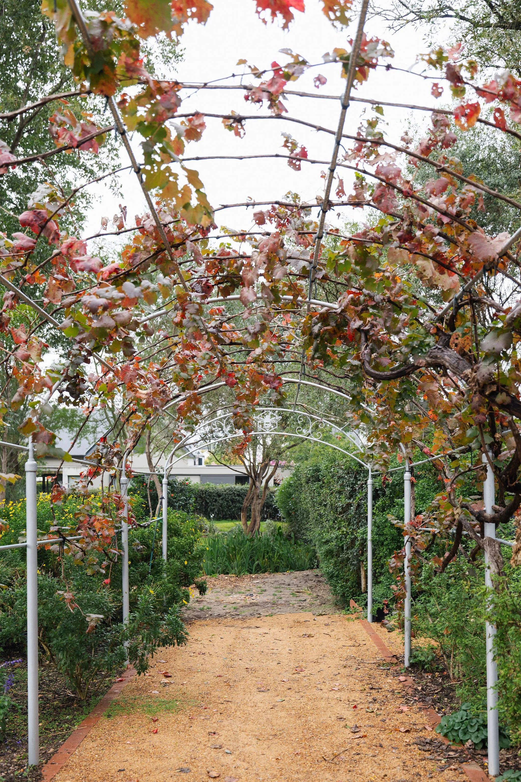 Historic garden pathways at Zomerlust Boutique Hotel invite guests to explore a beautifully restored heritage estate in Paarl, surrounded by the beauty of the Cape Winelands. Can host 150 people around a single long table