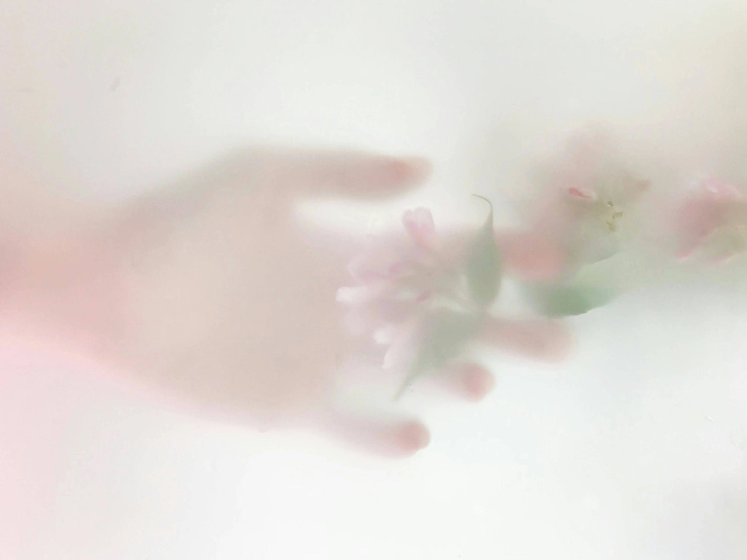 Faint outline of fingers pressing against translucent, blurry surface.