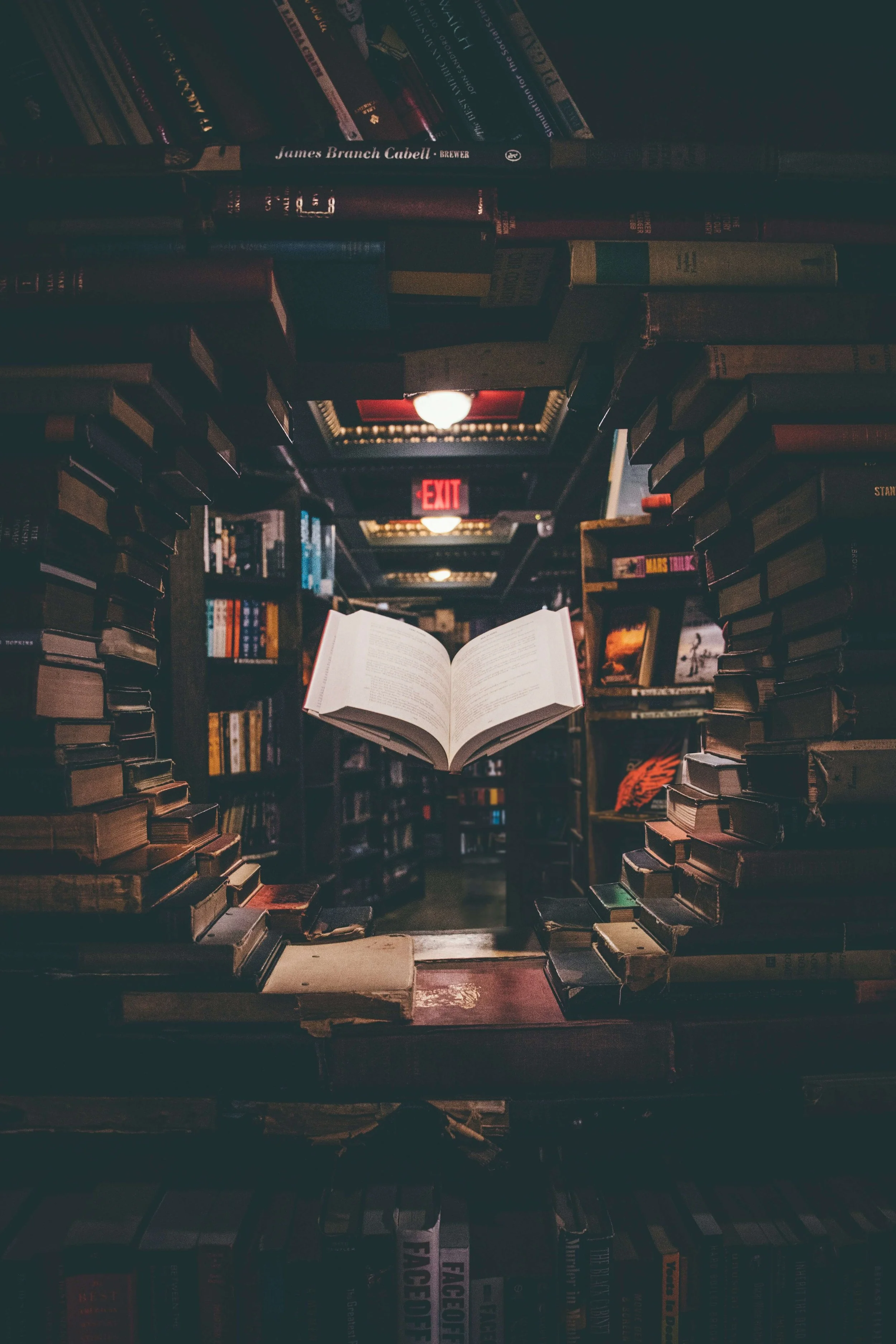 A bookshelf filled with books is shown in a dimly lit library. In the center, there is an open book with a red bookmark, and above it, a brightly illuminated exit sign is visible.