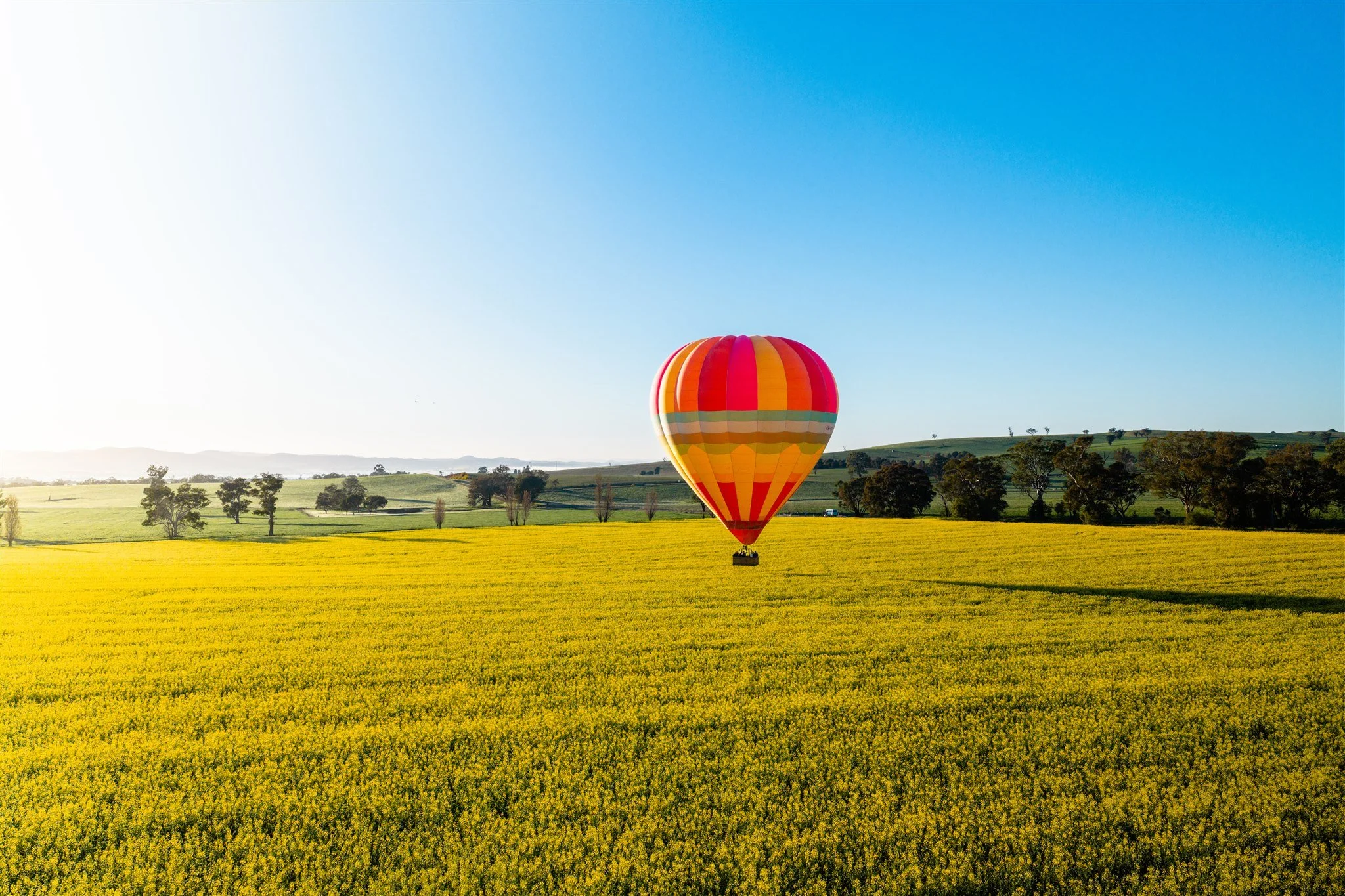A hot air balloon with red, orange, and yellow stripes floating over a yellow field with green trees and rolling hills in the background under a clear blue sky.