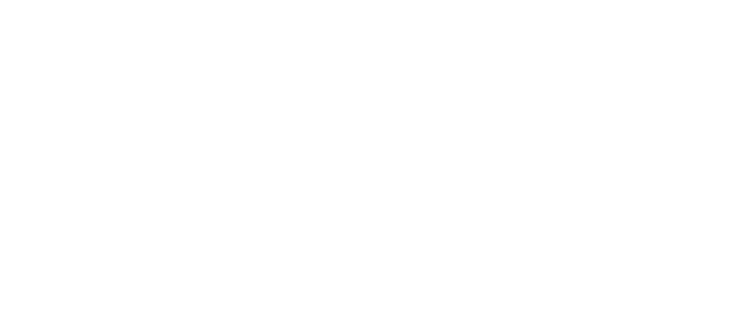 Elite Security Guard Agency Inc.