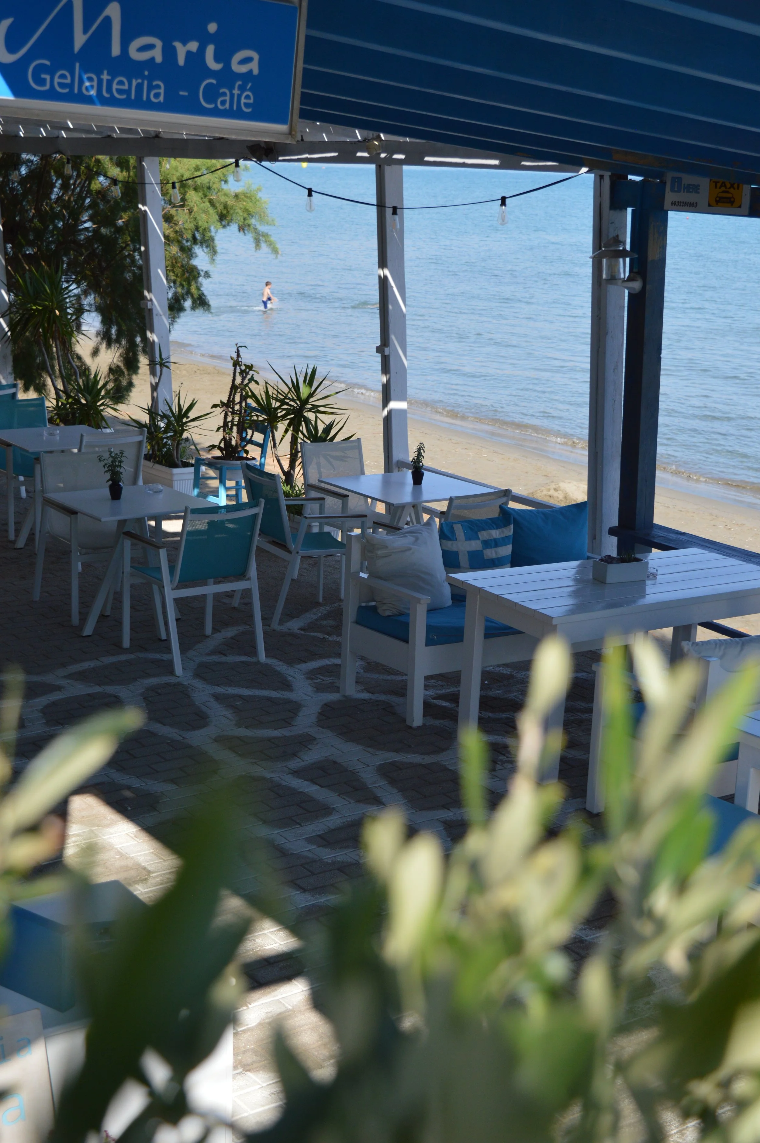 Gelateria Maria - Outdoor seating area at a beachside café with white and blue furniture, potted plants, and a view of the sandy beach and water with a person swimming in the background.
