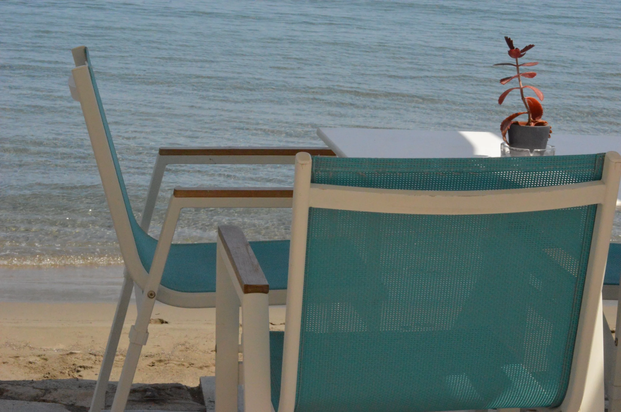 Gelateria Maria - Beach scene with three turquoise chairs and a small table with a potted plant, near the water.