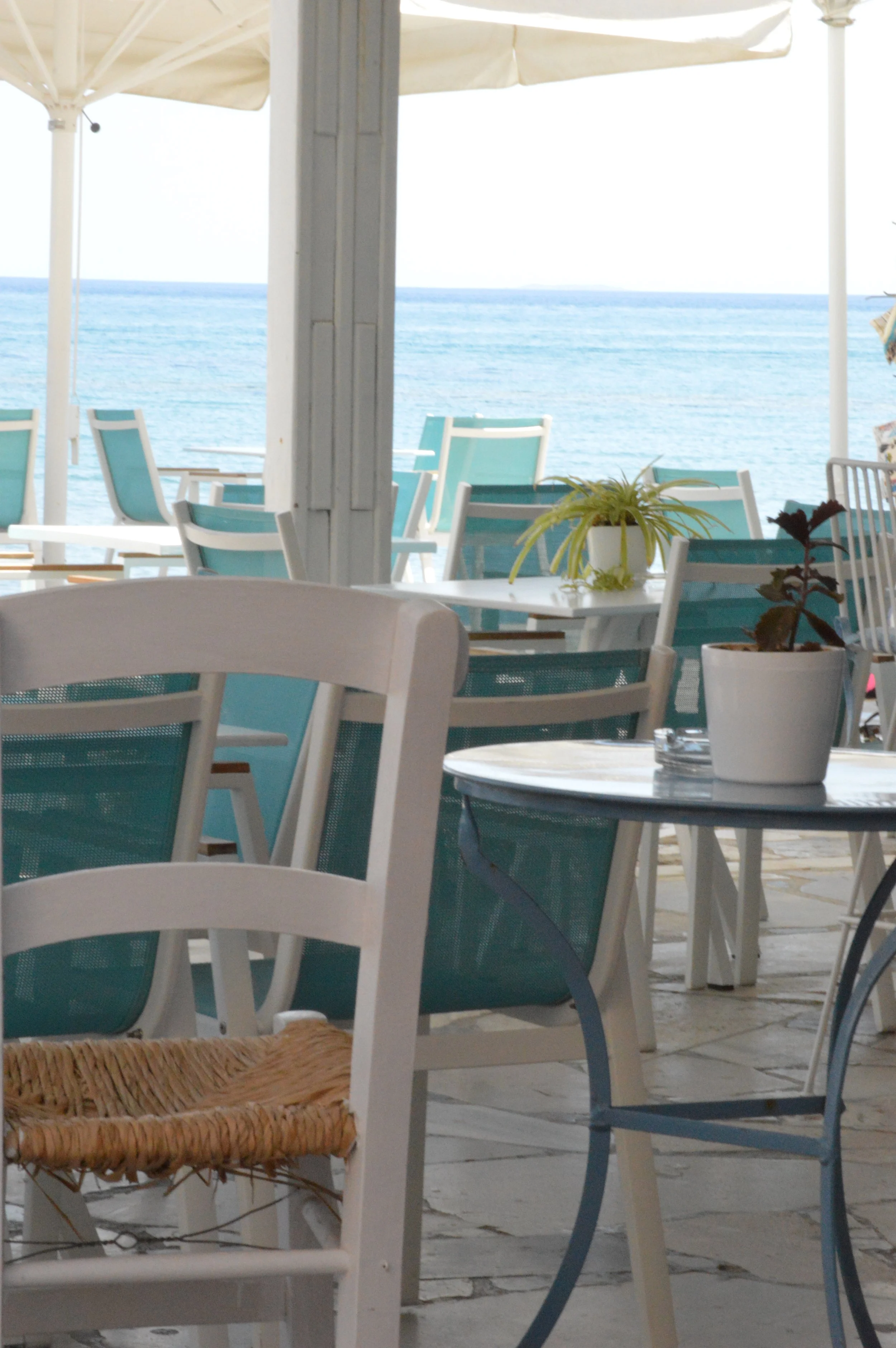 Gelateria Maria - Empty outdoor patio with white and turquoise chairs, potted plants, and ocean view in the background.