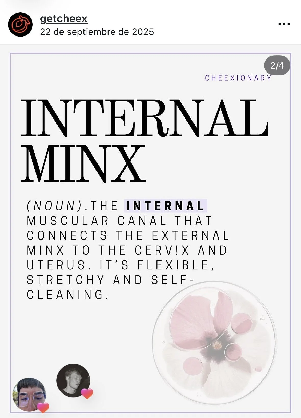 A graphic explaining the definition of 'Internal Minx', depicting a glass with flower petals in water, and social media icons at the bottom.