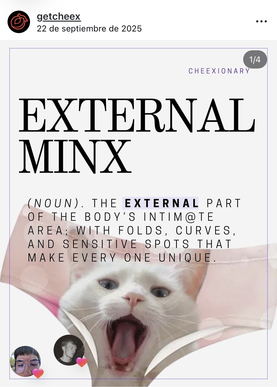 A social media post featuring a definition of the word "external" with a picture of a cat making a surprised face, showing wide open eyes and mouth, held in a person's hands.