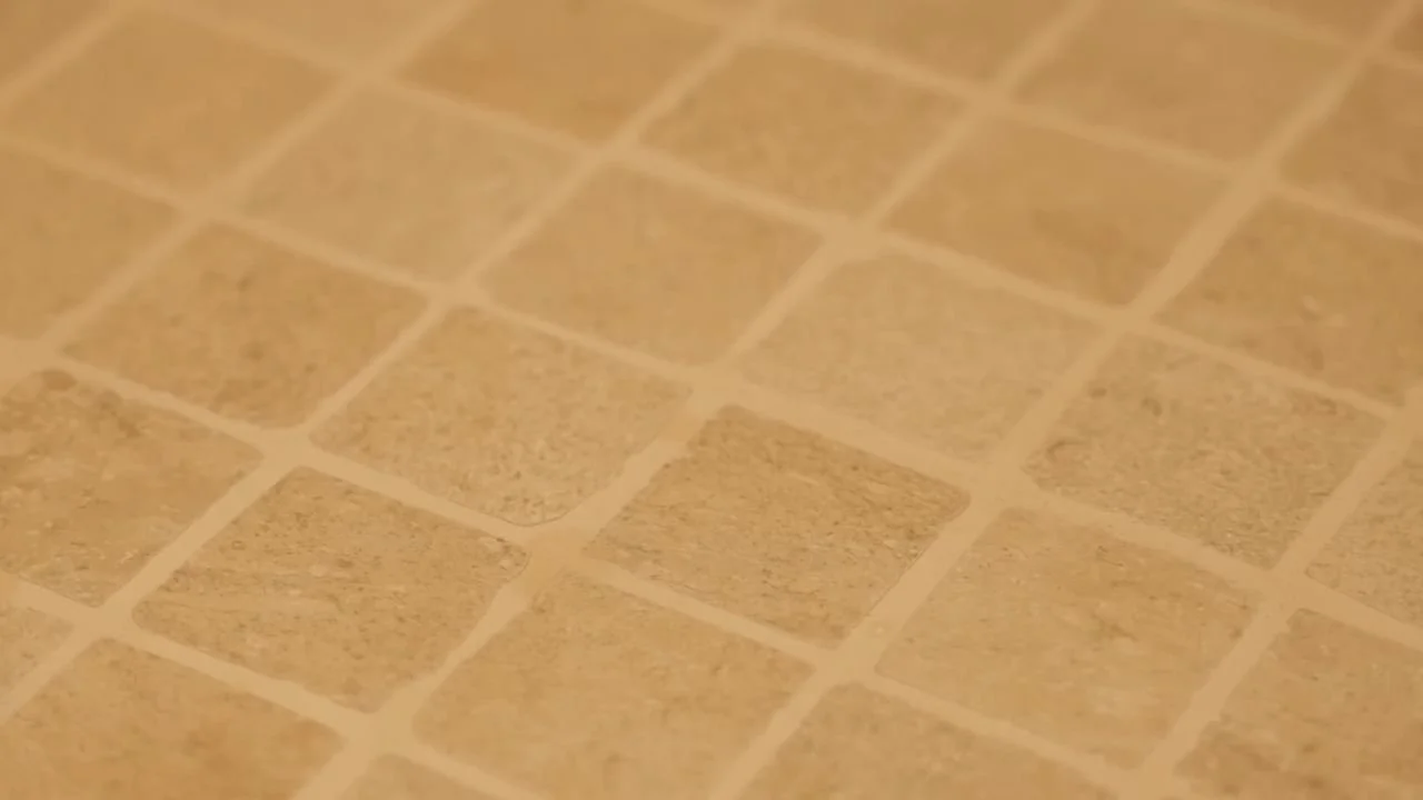 frame_931.00.jpg