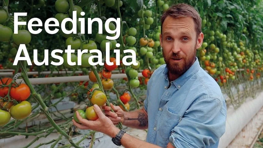 A man harvesting tomatoes in a greenhouse with a sign that reads 'Feeding Australia'.