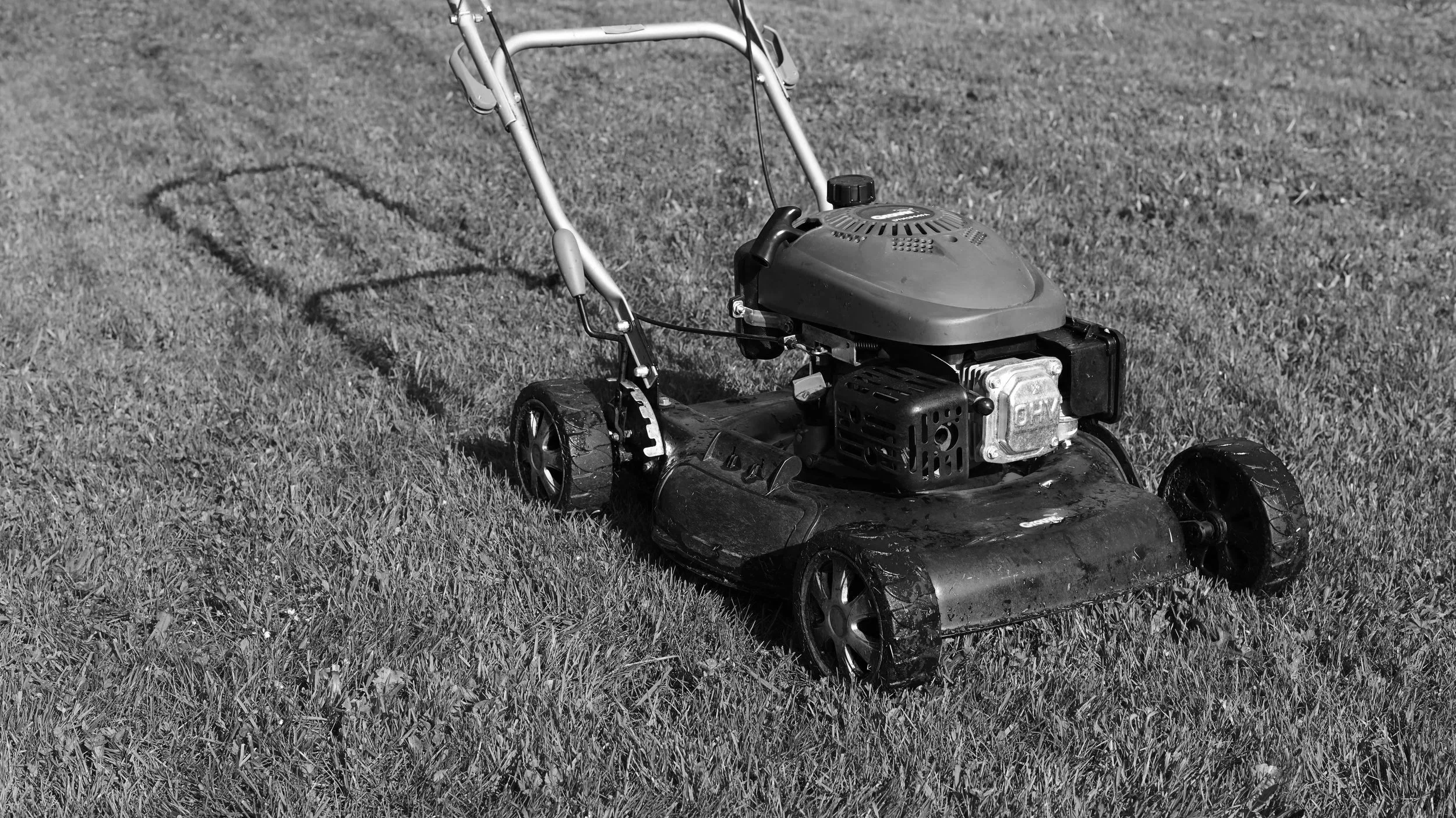 The best time to start mowing your lawn this spring