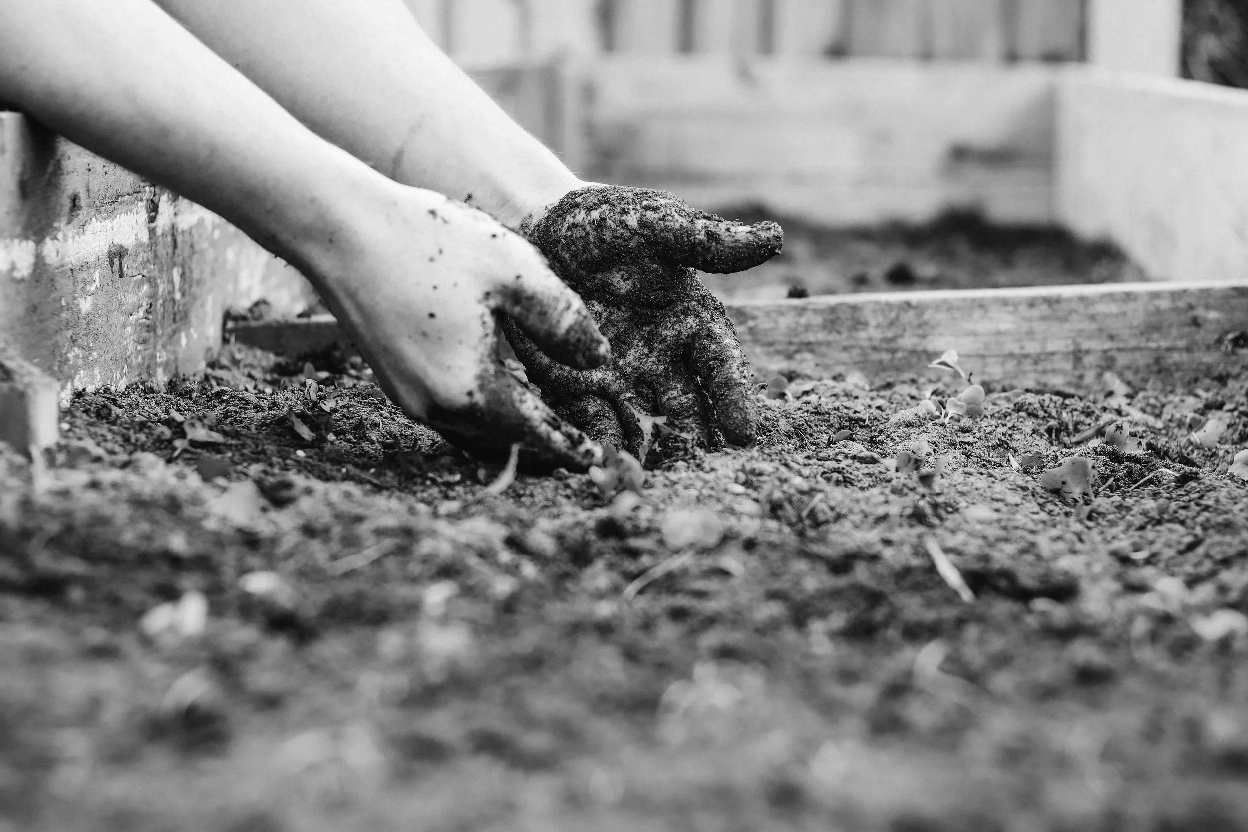 4 key garden jobs to tackle before the end of March
