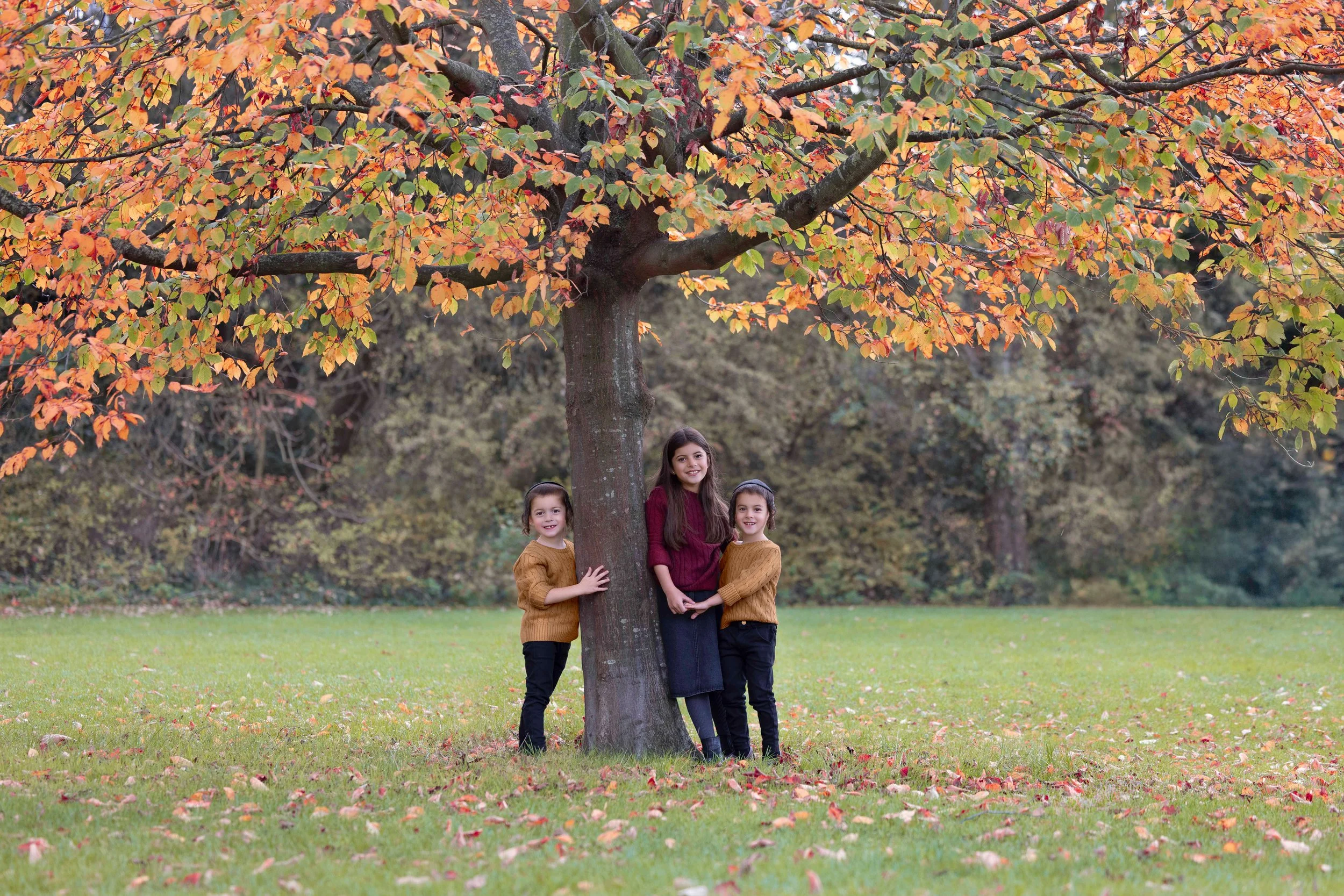 delly photography, Stamford Hill, Golders Green, London, newborn, children, upsherin, outdoor, studio