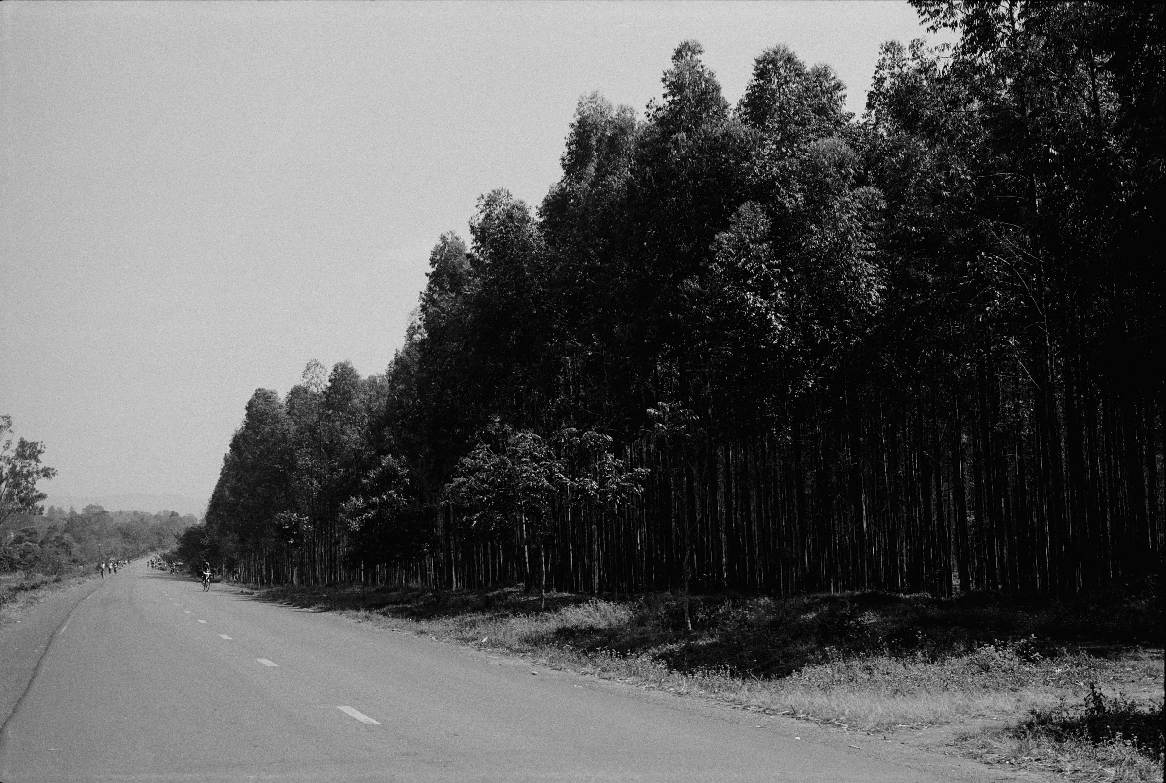 MW 001 1.jpg