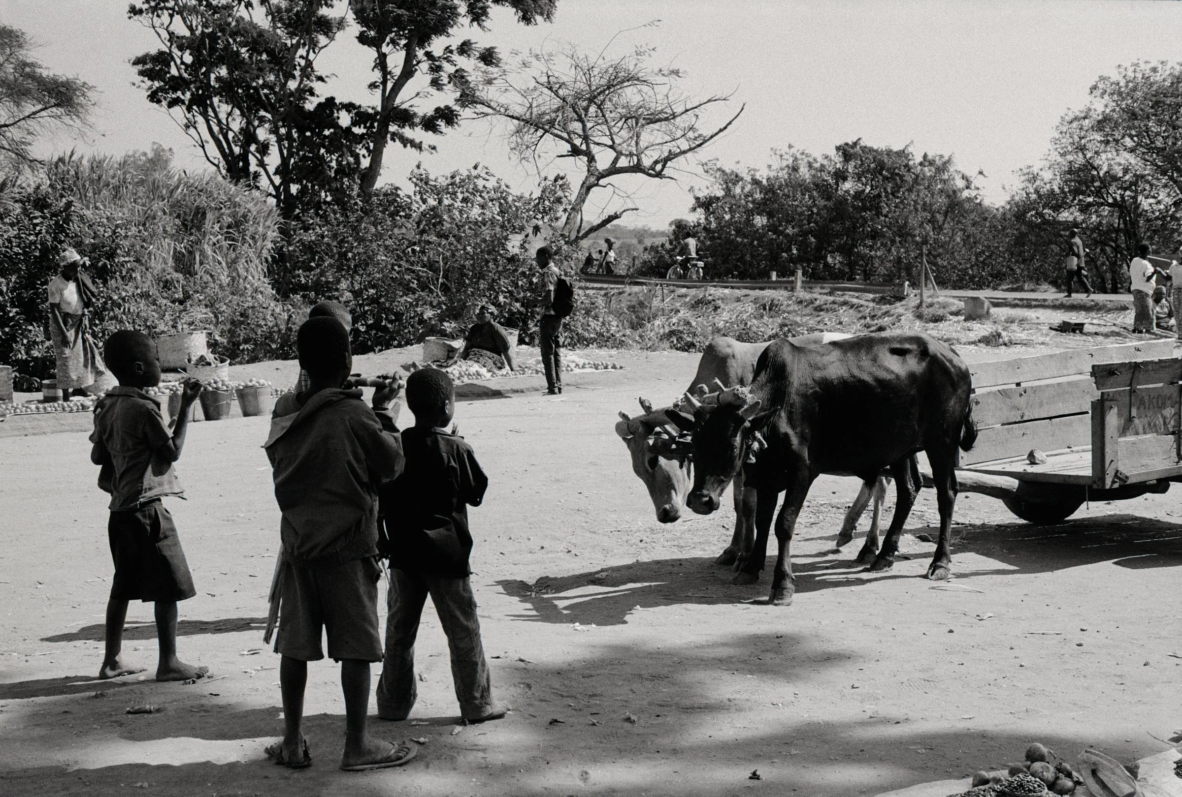 MW 017-2.jpg