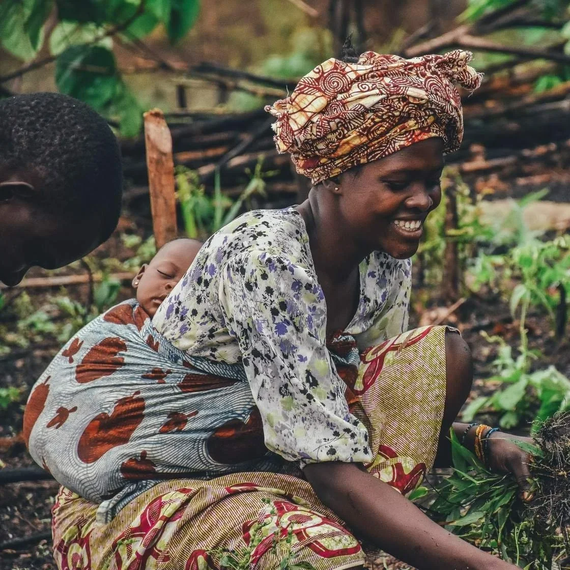 From expertise to learning: CGIAR’s universally available Innovation &amp; Scaling Course