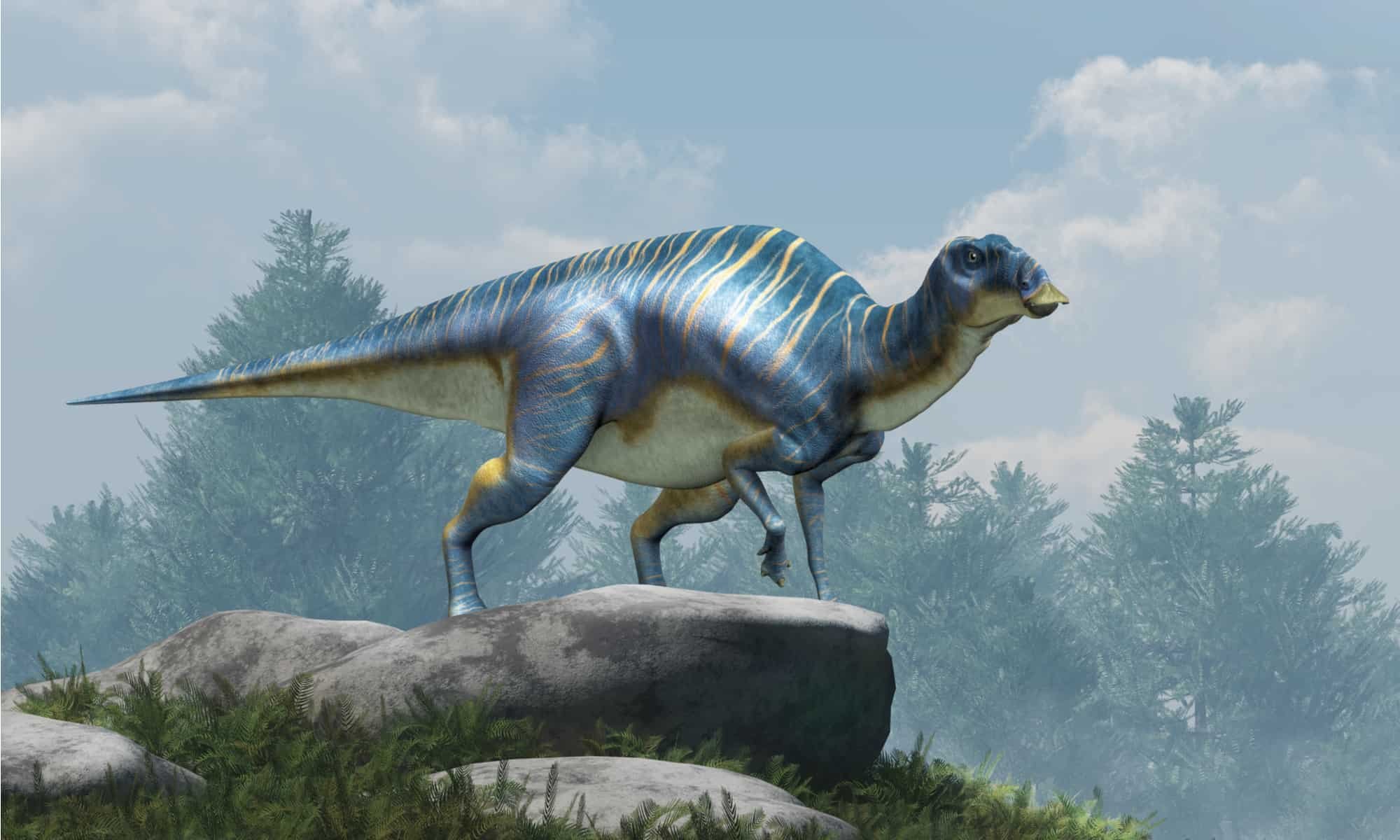 Maiasaura