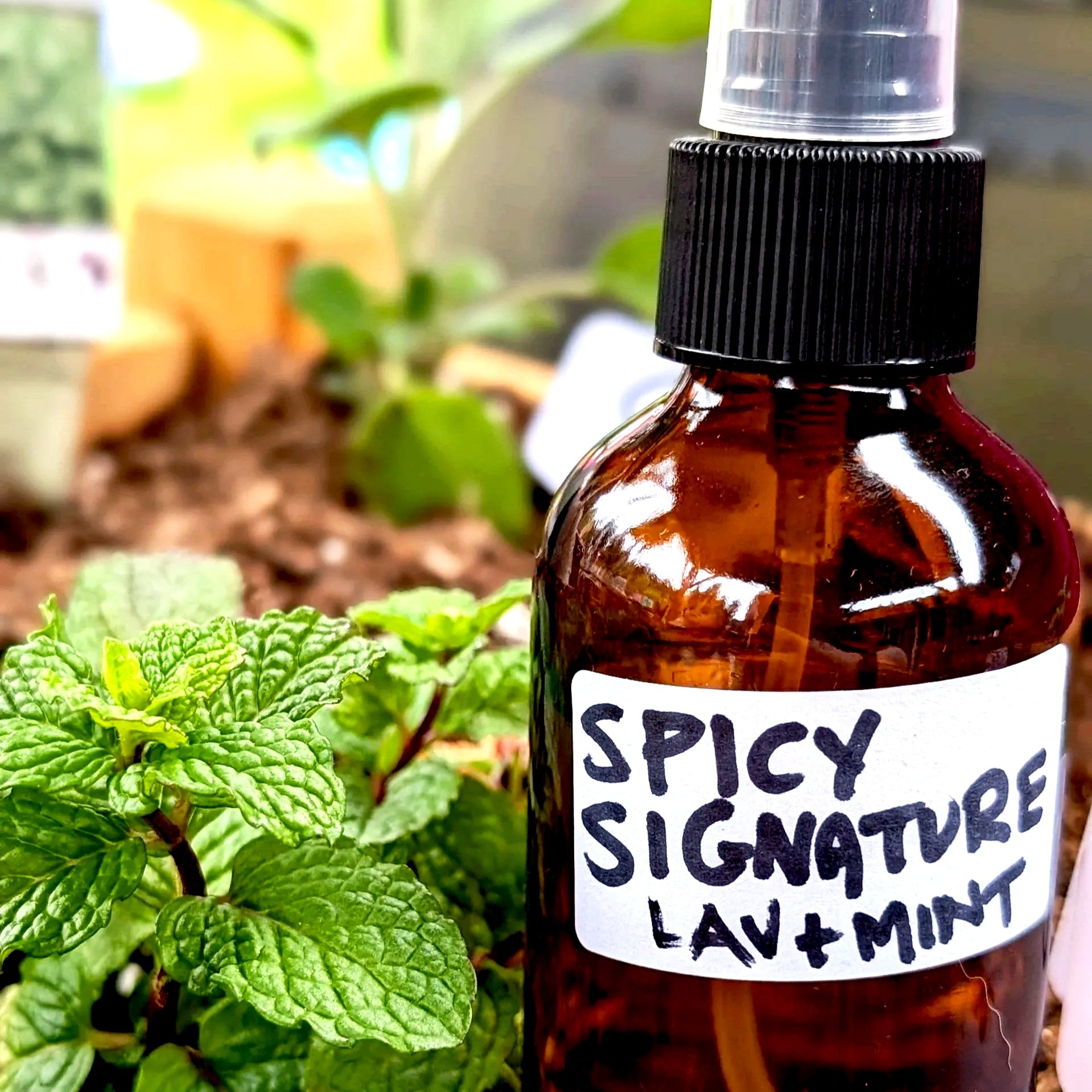 Spicy Signature