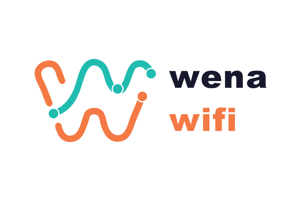 wena wifi