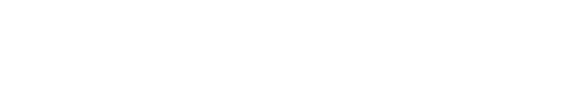 Shield AI