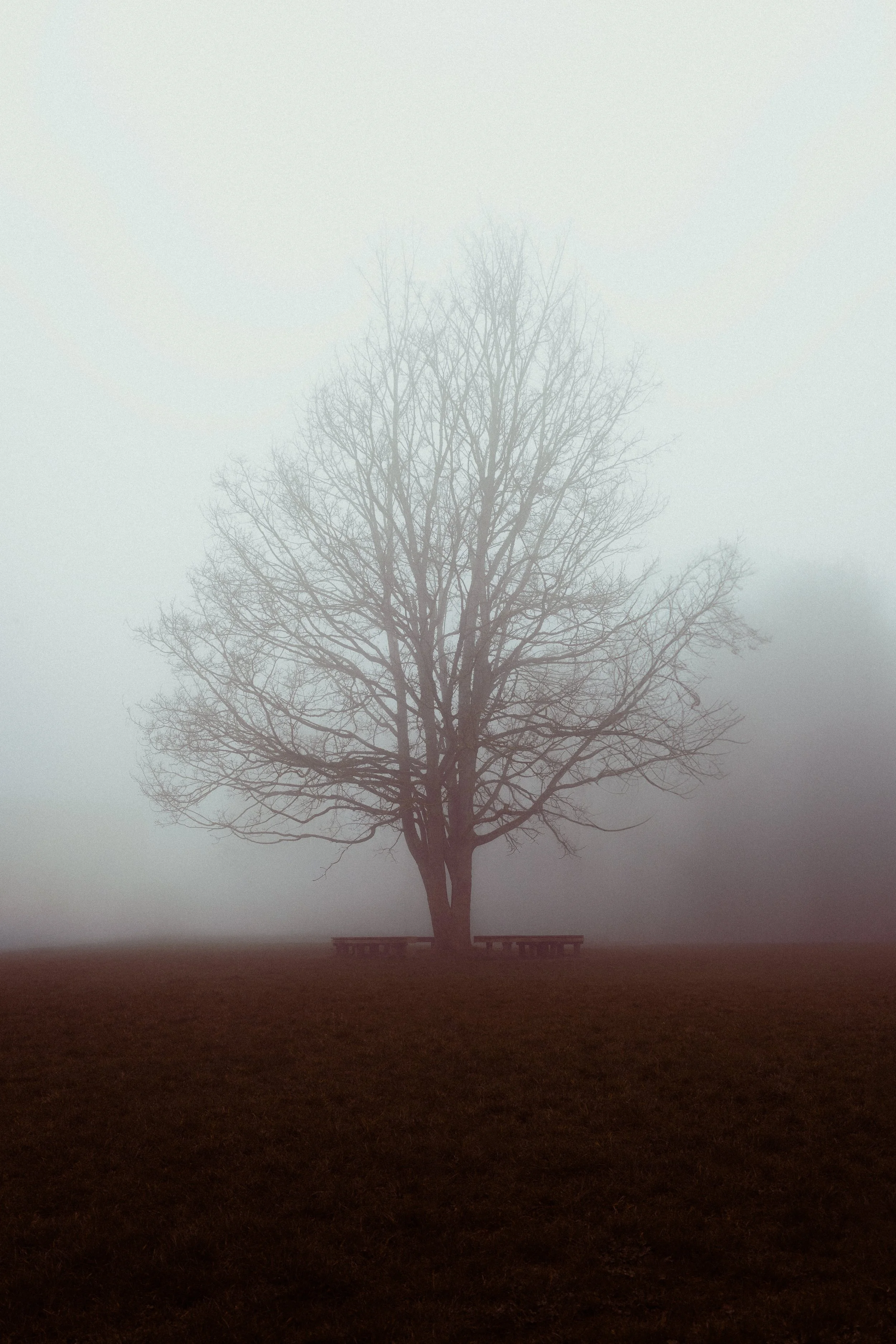522A8533-Edit-3.jpg