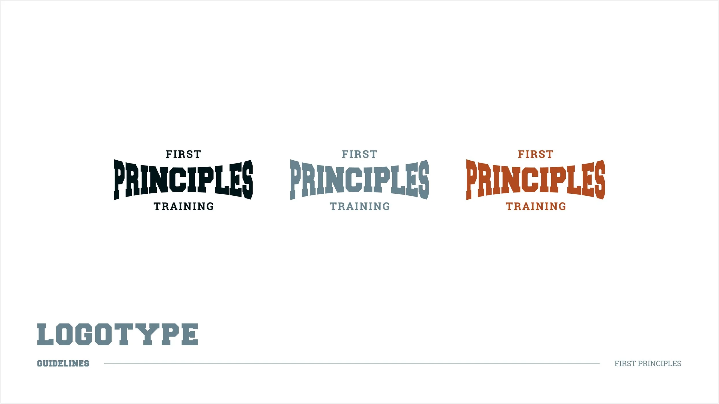 Three variations of the 'First Principles Training' logo in different colors: black, gray, and brown, with the word 'LOGOTYPE' and 'GUIDELINES' beneath, all on a white background.