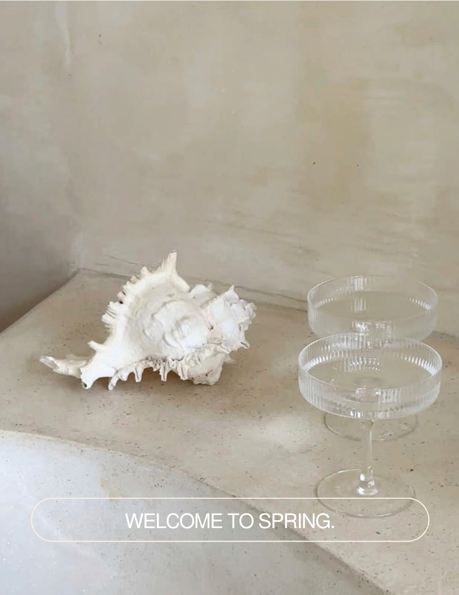 White spiky seashell beside two water-filled glasses on a stone table with “Welcome to Spring” text.