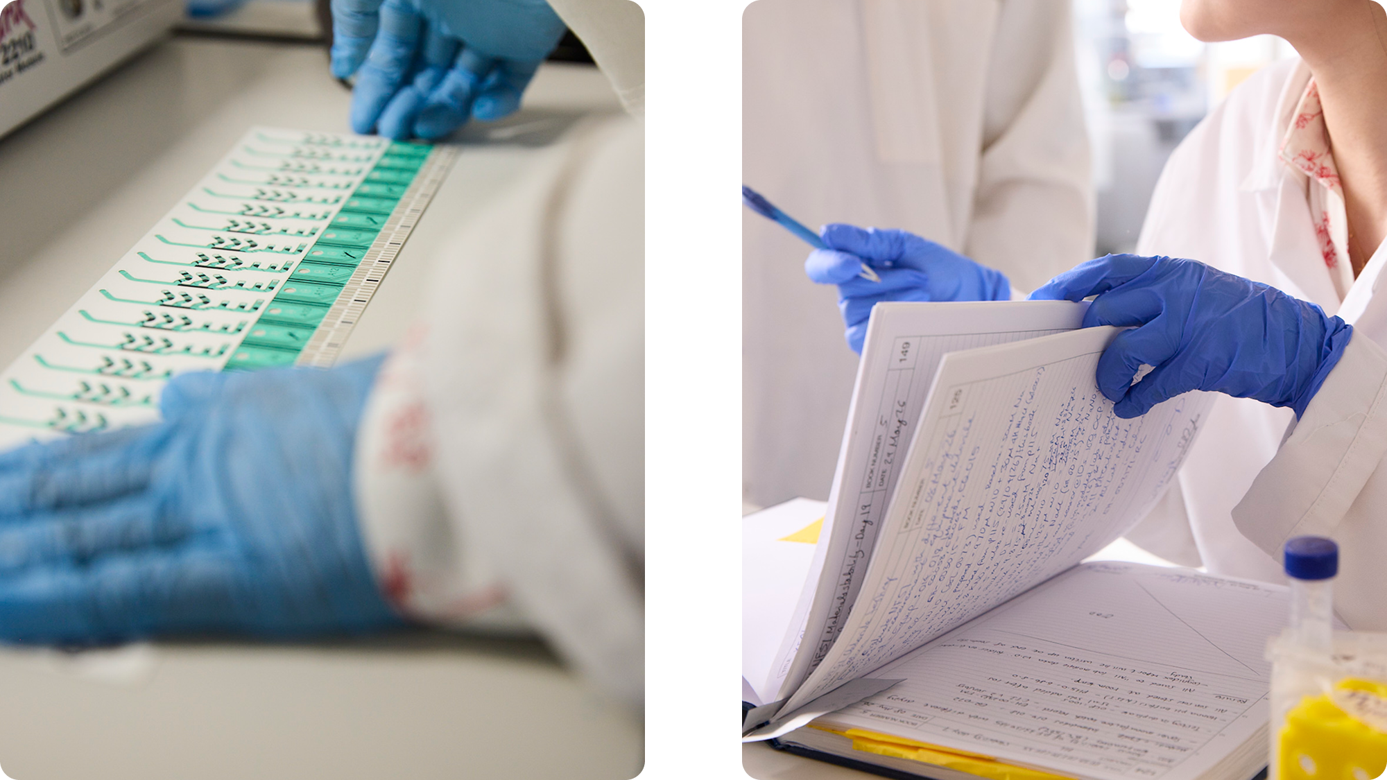 Laboratory setting with gloved hands handling test strips and reviewing handwritten notes in a notebook.