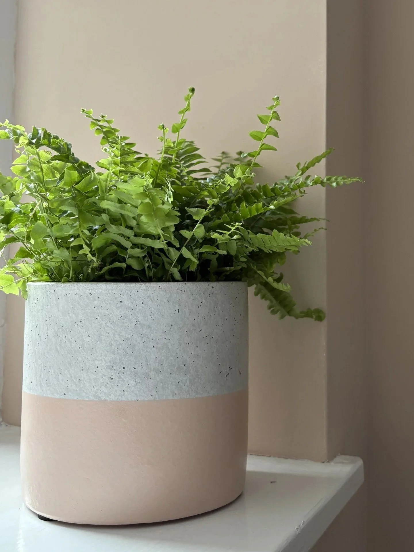 Bathroom styling detail with fern in a textured planter, using muted tones and natural texture to create a calm, cohesive feel