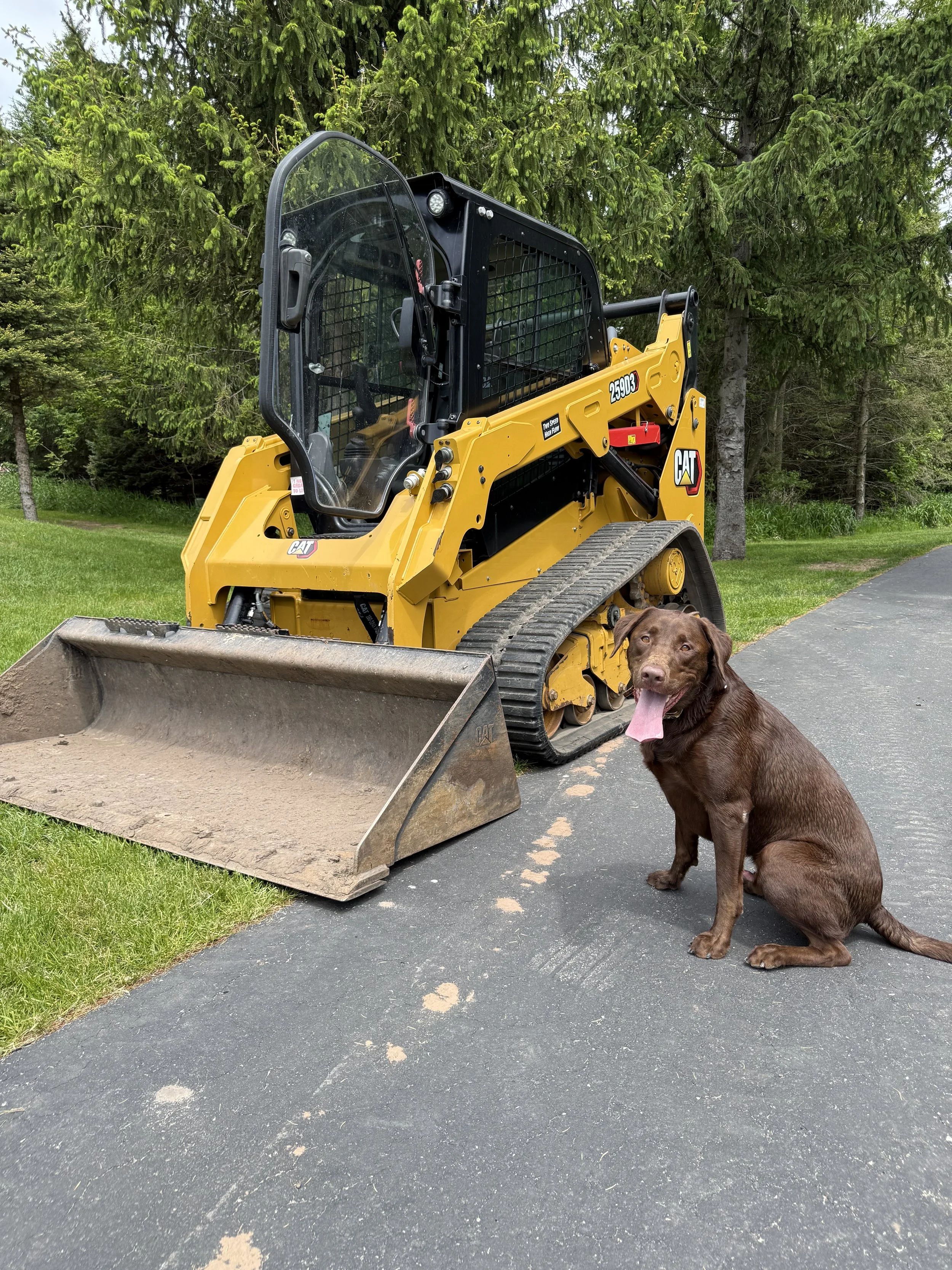 Tracked Cat 259D3 & operator. Omro, Wisconsin.