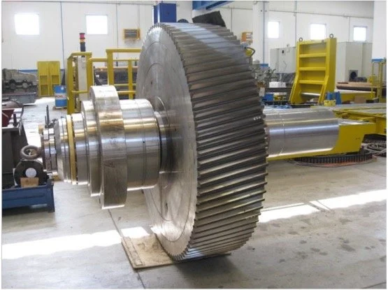 Gearwheel with output shaft