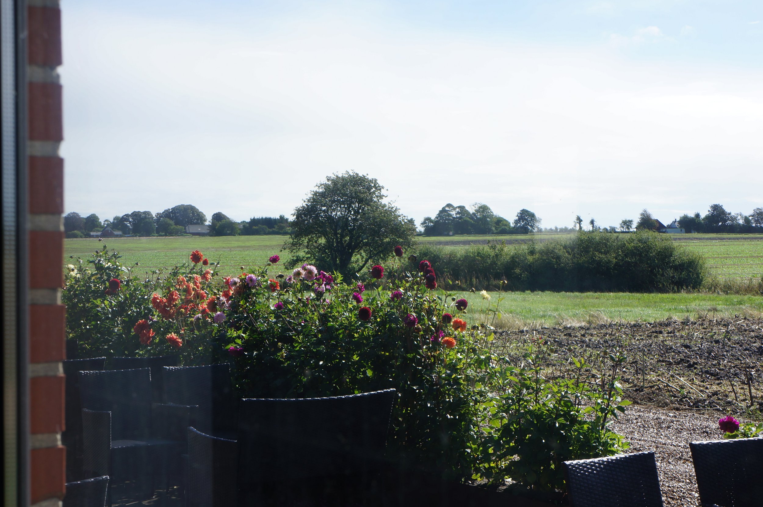 DSC05689.JPG